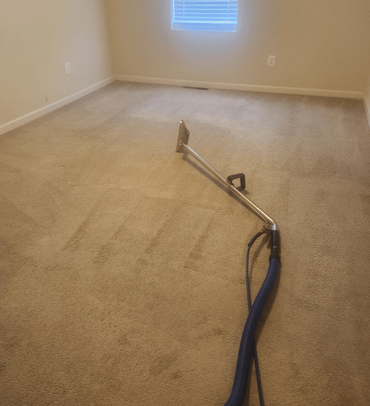 Carpet Cleaning